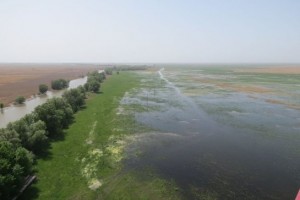 Информация о прохождении паводка в Астраханской области