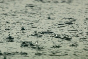 Завтра в Астраханской области ожидается кратковременный дождь