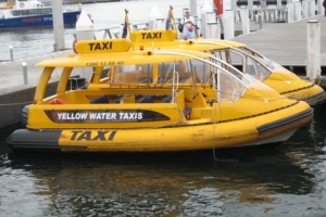 На Каспии появятся водные такси