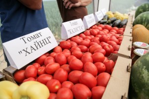 Сельхозпроизводители Астраханской области делают ставку на диверсификацию