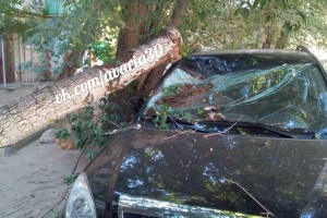Ночью в Ленинском районе дерево упало на автомобиль