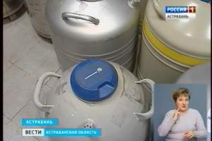 В Астраханской области смогли вывести жизнеспособную молодь осетровых из замороженных яйцеклеток рыб