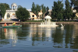 Куда исчезли лебеди с Лебединого озера в Астрахани