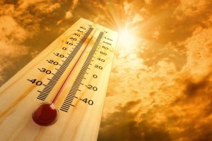 В Астраханской области 7 августа ожидается сильная жара, днём до 42°