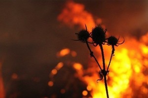 В Астраханской области 7 августа ожидается высокая пожароопасность, днём сильная жара