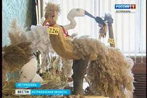Астраханский заповедник проводит детский конкурс творческих работ, посвящённых птицам