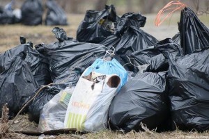 В Астрахани с Городского острова вывезли более 30 мешков мусора