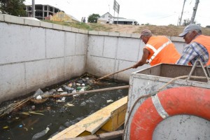 Из астраханских водоёмов вылавливают до пяти тонн мусора в неделю