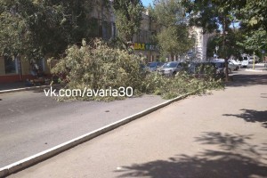 В центре Астрахани дерево упало на два припаркованных автомобиля