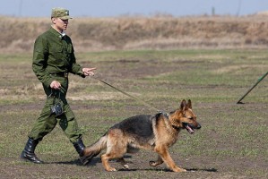 В российской армии появилась военная кинологическая служба