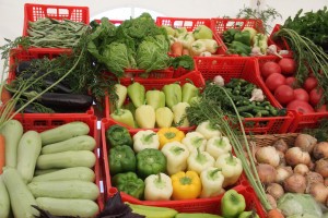 Астраханские фермеры собрали более 500 тысяч тонн овощей и бахчевых