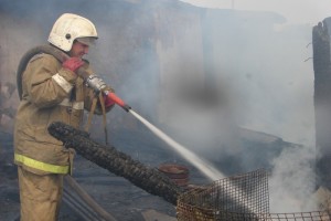 В Астраханской области при пожаре в дачном кооперативе спасены двое