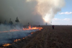 В Астраханской области огонь приближается к ГЛИЦ им Чкалова
