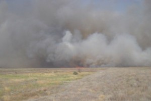 При степном пожаре вблизи военной части в Астраханской области никто не пострадал