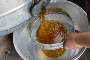 Через Астрахань в Дагестан не пропустили почти 70 кг пчелиного мёда без документов