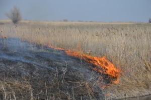 В Астраханской области с 29 по 31 августа пожароопасно, местами дожди