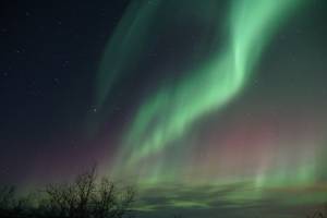 Ночью астраханцы увидят северное сияние из-за вспышек на солнце
