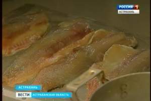Астраханские ученые предлагают наладить производство рыбной колбасы