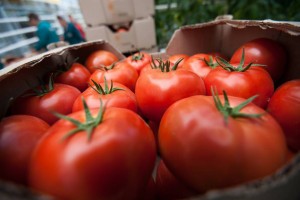 На астраханских рынках вновь могут появиться турецкие томаты
