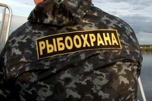 В Астраханской области 10 мужчин заплатят 21 тысячу рублей за рыбалку в запретные сроки