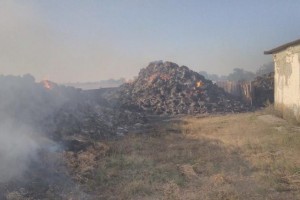 В Астраханской области сгорело 1,5 тысячи тонн сена