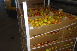 Из Астраханской области не выпустили более 10 тонн ставропольских яблок