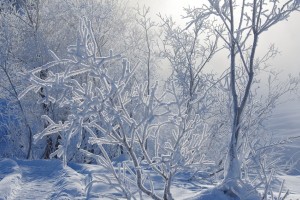 Метеорологи обсуждают рекордные морозы, которые готовит предстоящая зима