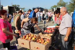 В Астрахани вновь пройдёт большая сельскохозяйственная ярмарка