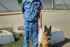 В Астрахани служебная собака помогла раскрыть кражу