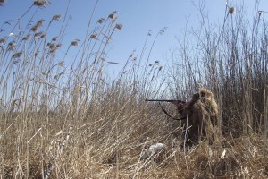 Открытие сезона охоты в Астраханской области не обошлось без нарушений