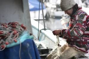 На сайтах по продаже рыболовных снастей астраханская прокуратура нашла запрещенную информацию