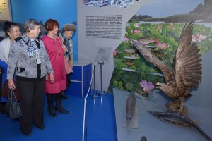 Астраханские пенсионеры могут бесплатно посетить музеи и выставки 1 октября