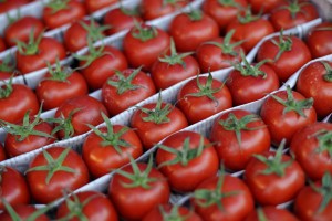 Турецкие томаты попадут в Россию не раньше 2018 года