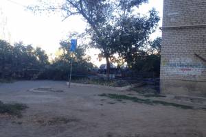 Фотофакт: в Астрахани упавшее дерево заблокировало выезд со двора