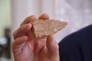 Найденного доисторического “окуня” передали астраханцам