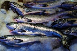 В Астраханскую область не пропустили свежемороженую рыбу из Казахстана