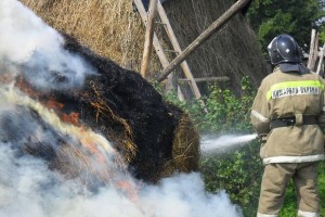 В Астраханской области сгорели автомобиль и сено