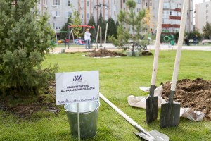 В Астрахани продолжается озеленение Петровской набережной