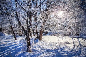 В Гидрометцентре России рассказали о предстоящей зиме