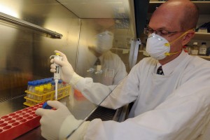 Астраханцам грозит новый штамм птичьего гриппа