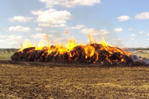 В Астраханской области из-за шалости детей сгорело 2,5 тонны сена