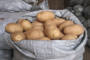 В Астраханской области выросли цены на морковь, картофель и хлеб