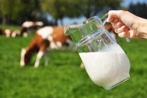 Молоко в Астрахани может иметь синеватый оттенок
