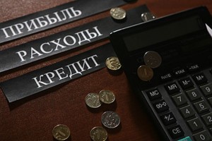 Более половины российских семей имеют непогашенный кредит