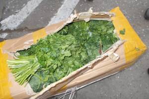 В Астраханской области «забраковали» 20 тонн свежей зелени