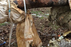 Жителей Астраханской области расстроила пробоина в ржавой трубе, заколоченная чопиками