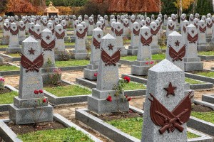 Появился список данных астраханских солдат, захороненных в Вене и Берлине как «неизвестные»