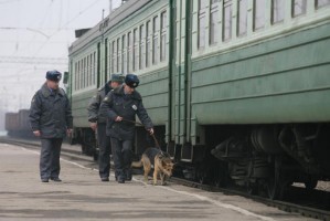 В Астраханской области задержали проводника с полутонной носков, платков и кимоно