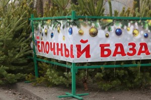 В Астрахани определены места для ёлочных базаров