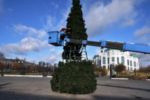 В Астрахани устанавливают первую в этом году новогоднюю ёлку